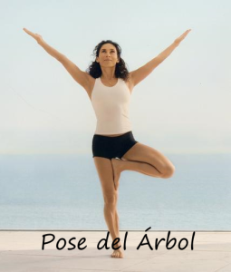 Arbol Yoga