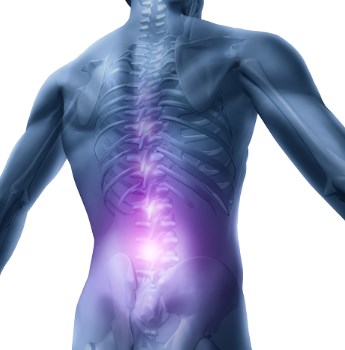 Las investigaciones con células madres se están aplicando para aliviar el dolor de espalda crónico 