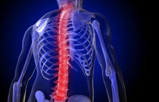 spinal cord trauma