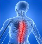 Los síntomas más frecuentes de la dorsalgia, se localizan en la zona superior de la espalda