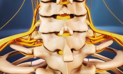 Osteología: columna cervical