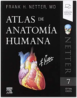 anatomía humana